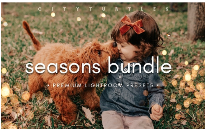 [Elements.Envato] Seasons Bundle Fall & Winter Lig_0.png